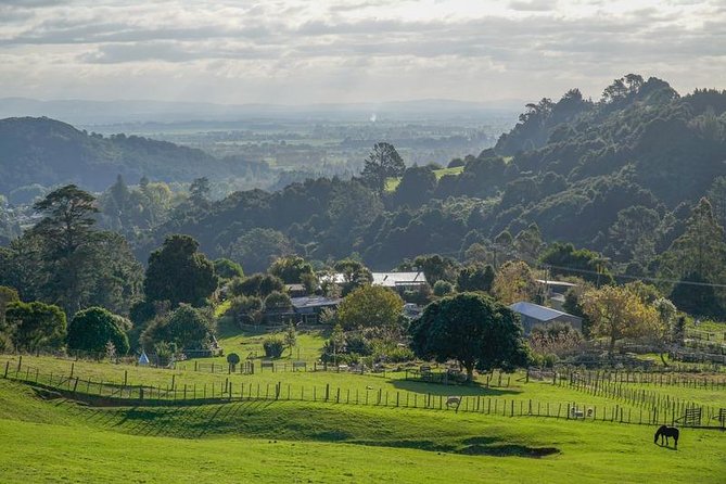 Paeroa Tours Bullswool Heritage Farm General Entry Ticket spectacular view