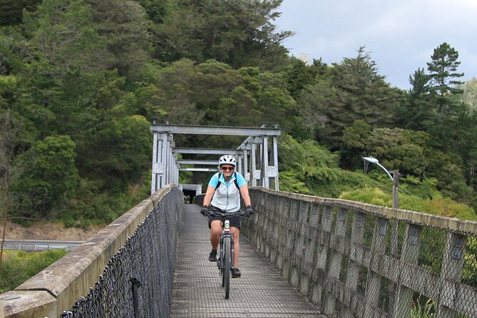 Paeroa Tours Private Full Day Ebike Tour in Karangahake Gorge river crossing