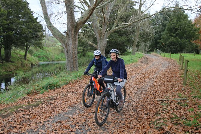 Paeroa Tours Private Full Day Ebike Tour in Karangahake Gorge smiling friends