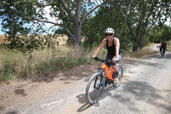 Paeroa Tours Private Full Day Ebike Tour in Karangahake Gorge sunny conditions