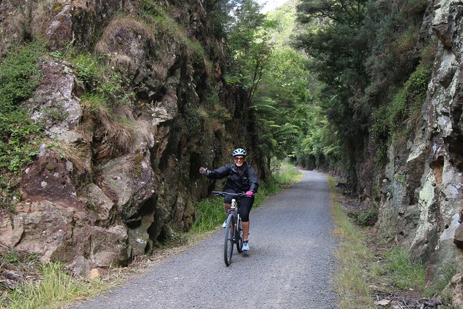 Paeroa Tours Private Full Day Ebike Tour in Karangahake Gorge through rocks