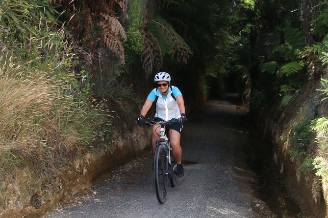 Paeroa Tours Private Full Day Ebike Tour in Karangahake Gorge track