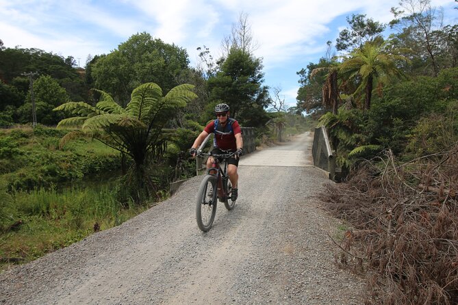 Paeroa Tours Private Full Day Ebike Tour in Karangahake Gorge wooden bridge