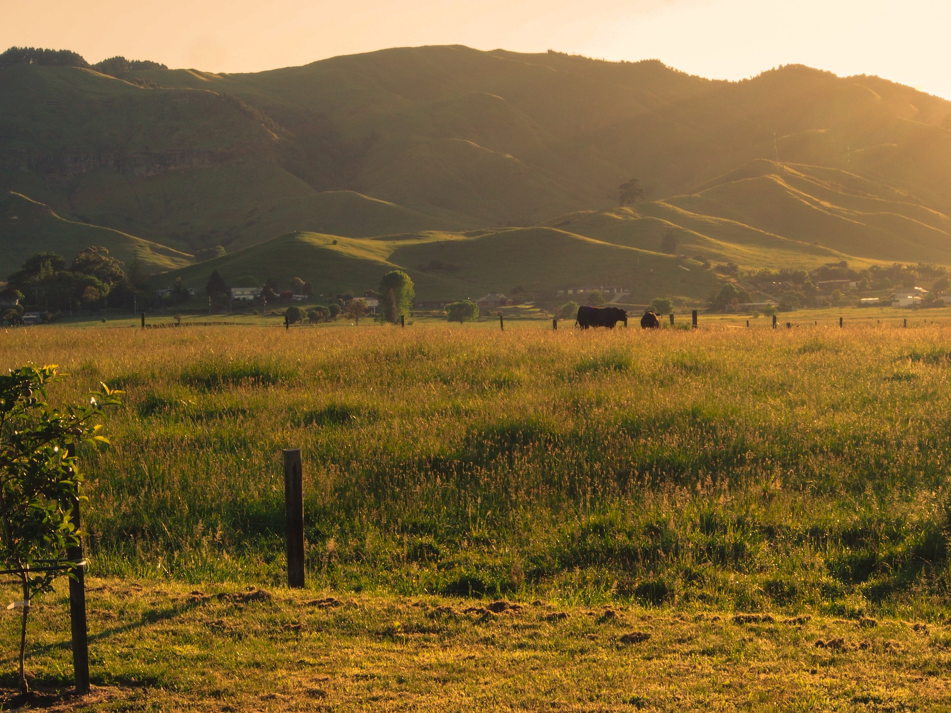 Paeroa, New Zealand - Golden hour sunrise